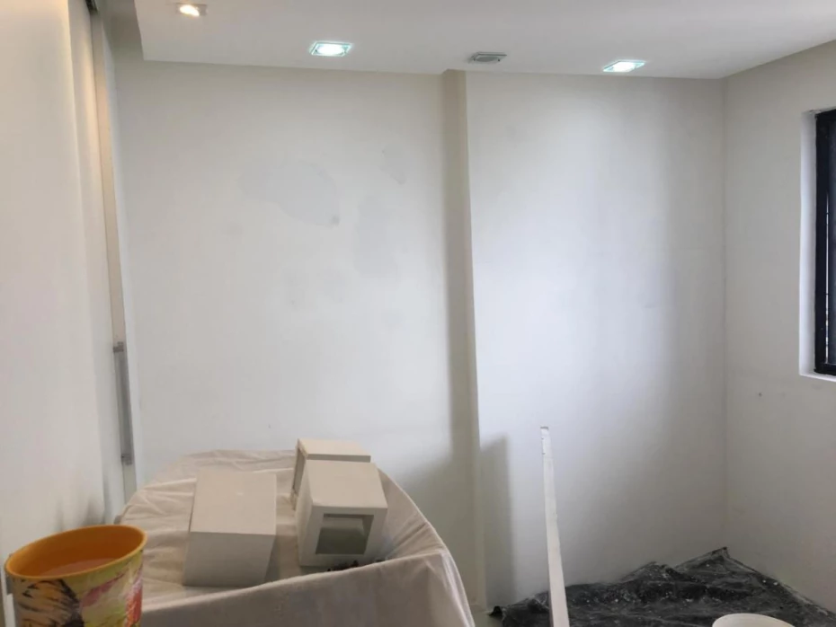 Foto 45:  — Pintura de Alto Padrão