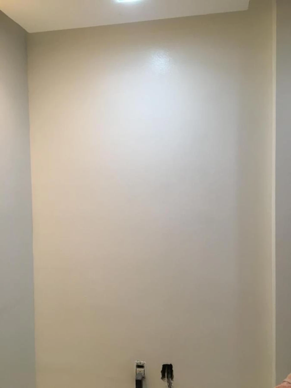 Foto 39:  — Pintura de Alto Padrão