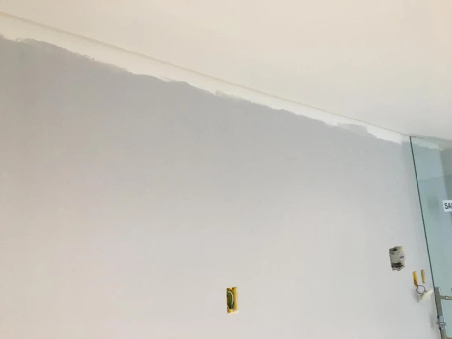 Foto 36:  — Pintura de Alto Padrão